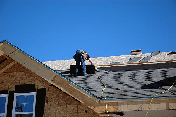 Best Storm Damage Roof Repair  in Welby, CO